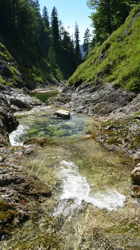 Vertical shot of a pond from a mountain stream in late summer, pol filter closed Stock Footage 260892442
