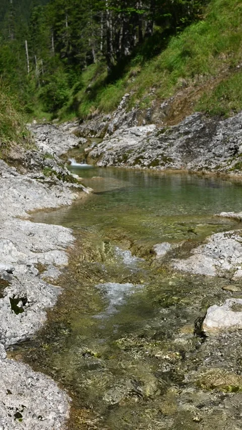 Vertical shot of a pond from a mountain stream in late summer Stock-Footage 260892545