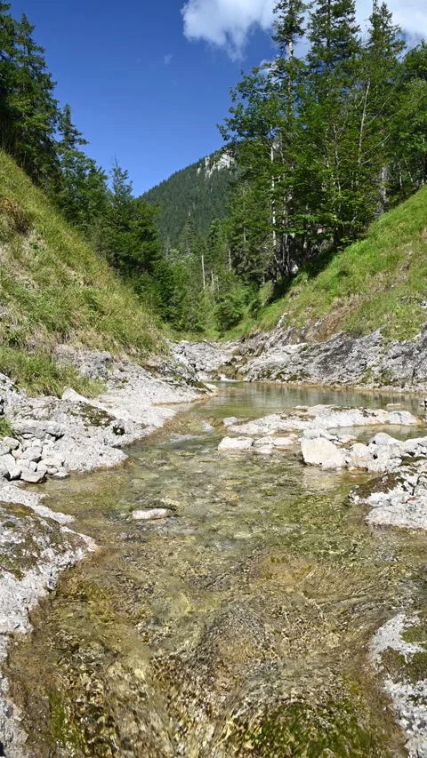 Vertical shot of a pond from a mountain stream in late summer Stock-Footage 260892598