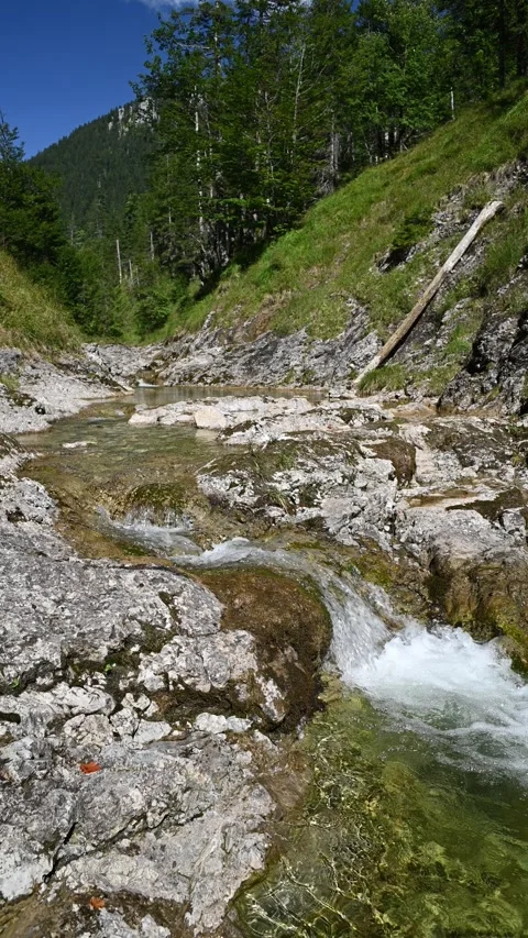 Vertical shot of a pond from a mountain stream in late summer Stock-Footage 260892939