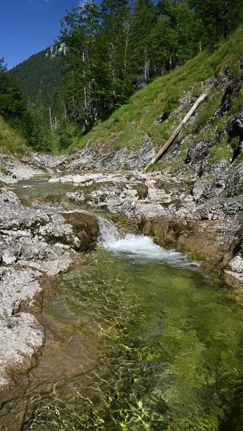 Vertical shot of a pond from a mountain stream in late summer Stock-Footage 260893099