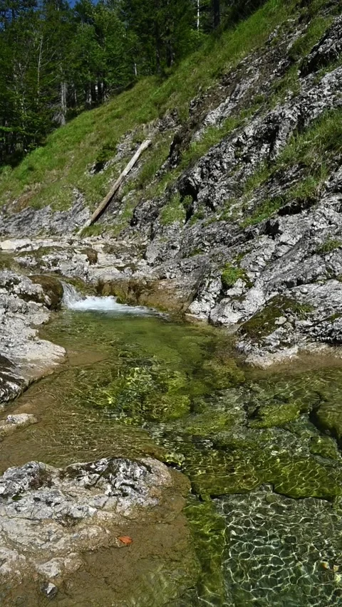 Vertical shot of a pond from a mountain stream in late summer, slow motion Stock Footage 260893506