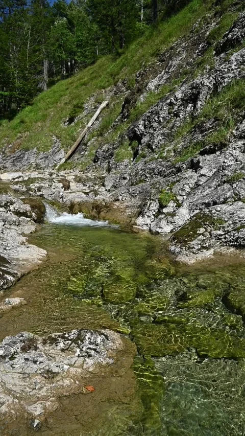 Vertical shot of a pond from a mountain stream in late summer, slow motion Stock-Footage 260893590