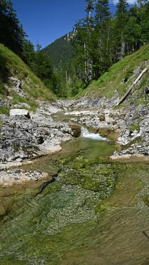 Vertical shot of a pond from a mountain stream in late summer, slow motion Stock-Footage 260893626
