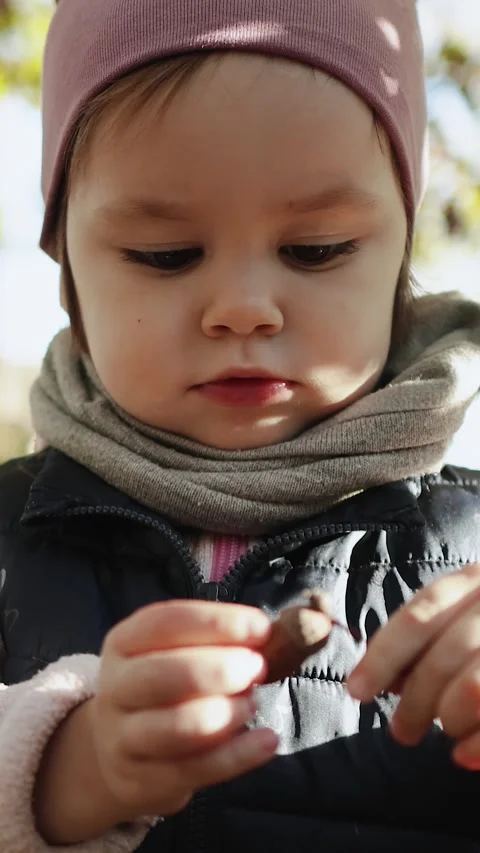 Vertical shot. Portrait of a child playing with an acorn in his hands in a warm Stock Footage 308457917