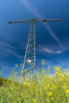 Vertical shot of a power pole in a rape field Stock Photos