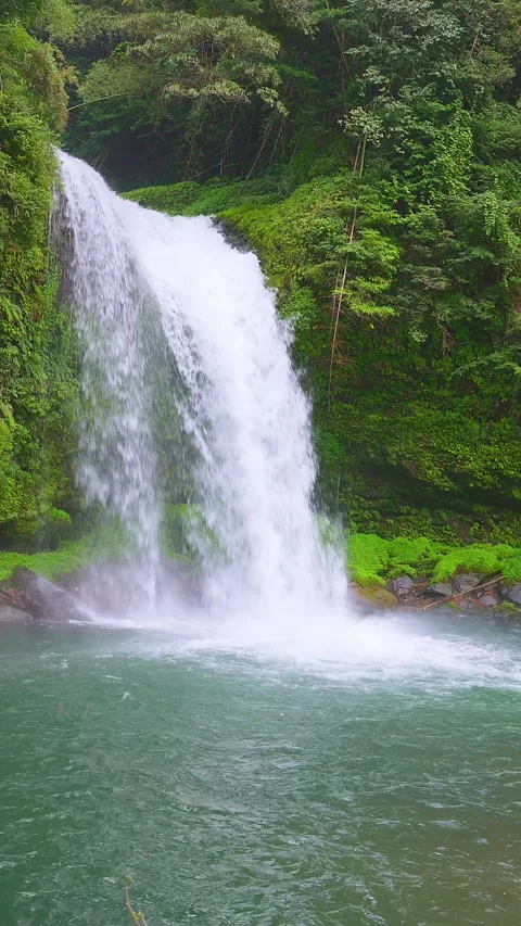 Vertical shot of powerful Jion Falls rushing into emerald green basin 動画素材 341806361