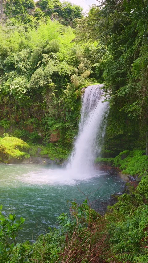 Vertical shot of powerful waterfall pouring into turquoise plunge pool Stock Footage 341806354