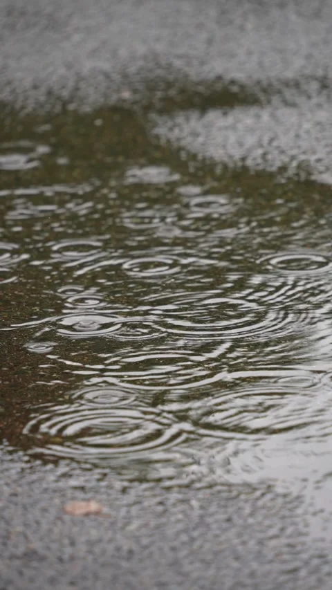 Vertical shot of raindrops falling into puddle creating ripples Stock Footage 346347803