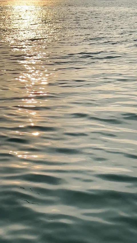 Vertical shot of reflection of sunlight on sea waves Stock Footage 238416259