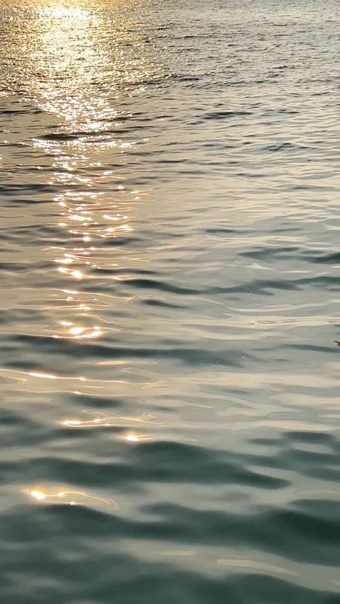 Vertical shot of reflection of sunlight on sea waves in slow motion Stock Footage 238416315