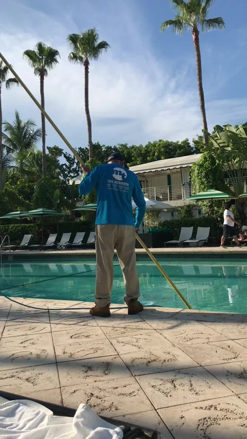 Vertical Shot of Resort Staff Cleaning Swimming Pool Beneath Palm Trees in Stock Footage 339751237