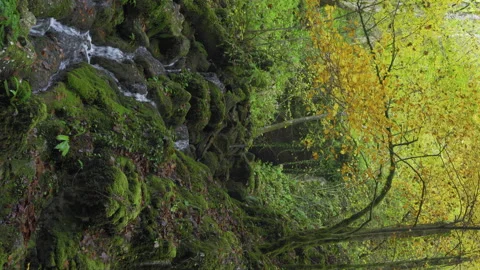 Vertical shot of a river through mossy boulders Stock Footage 143434611