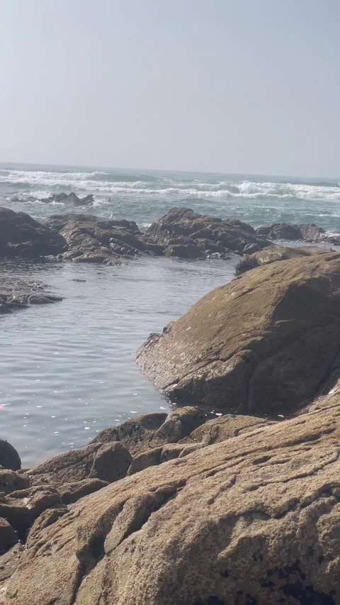 Vertical Shot of Rocky Coastal Tidal Pool with Ocean Waves Stock Footage 340775072