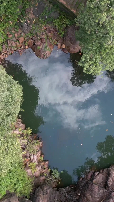 Vertical Shot of Rocky Stream and Lush Forest Landscape Pratapgarh Rajasthan Stock Footage 345489102