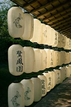 Vertical shot of rows of beautiful white koy fish lanterns hanging Stock Photos