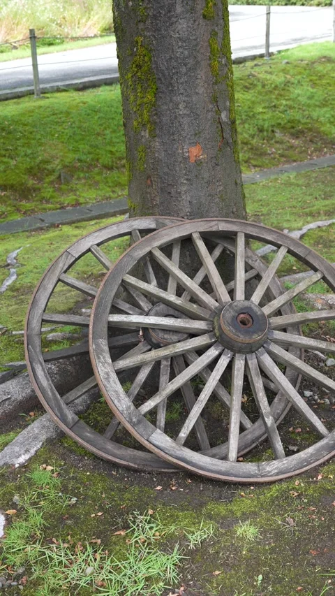 Vertical shot of rustic wooden wagon wheels leaning against tree Stock Footage 346344170