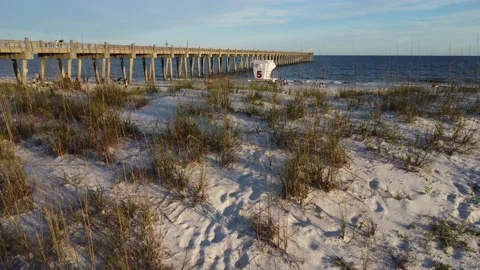 Vertical shot from sand dune over Pensacola beach Stock Footage 239005789