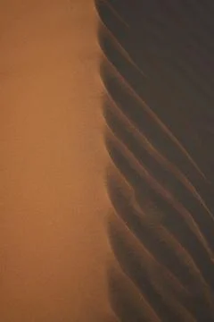 Vertical shot of a sand pattern on top of a dune. Stock Photos