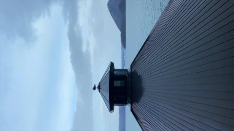 Vertical Shot : Sea gull standing at the top of a building Stock Footage 145196670