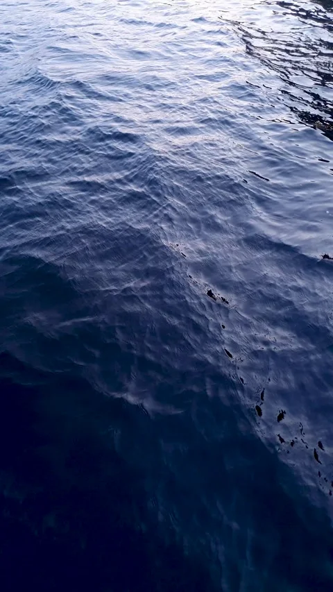 Vertical shot of seawater surface,ripples on deep water. Stock Footage 278414853