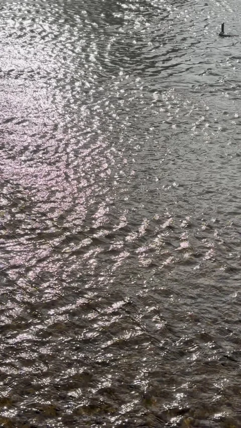 Vertical shot of shimmering sunlight reflection on rippling river water. Stock Footage 346012981