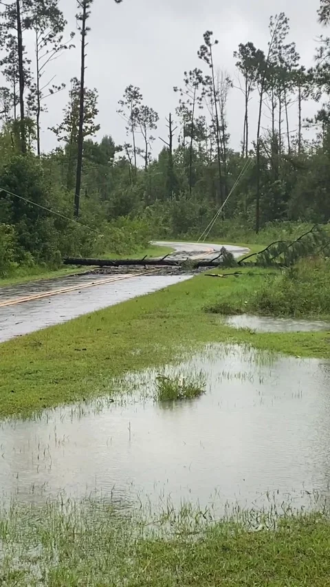Vertical shot showing flooding in a yard and tree over power lines Stock Footage 160945222