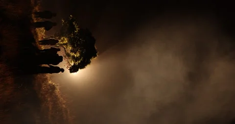 Vertical shot of Silhouettes at Huge Tree Night time Stockbeeldmateriaal 335437296