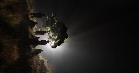 Vertical shot of Silhouettes at Huge Tree Night time 스톡 동영상 335476882
