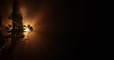 Vertical shot of Silhouettes at Huge Tree Night time Video stock 335498093