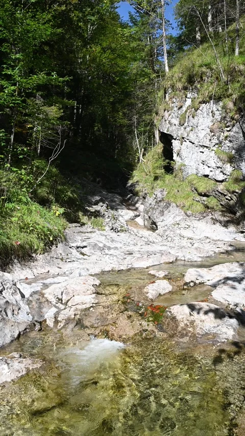 Vertical shot of a small mountain stream with a pond in in front of rocks 스톡 동영상 260931117