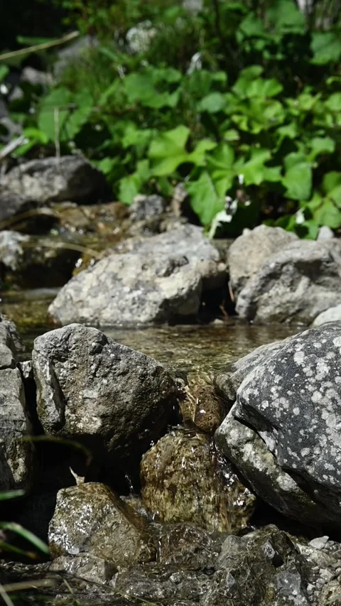 Vertical shot of a small stoney mountain stream, slow motion Video stock 260890415