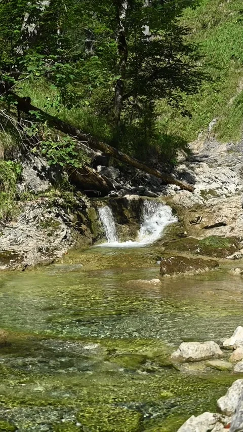 Vertical shot of a small waterfall from a mountain stream in a forest, slow-mo Video stock 260884584