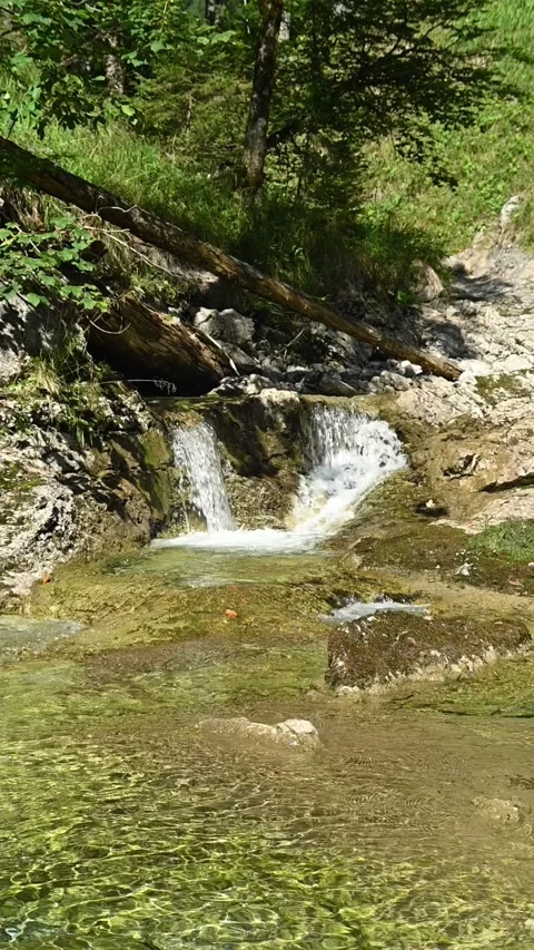 Vertical shot of a small waterfall from a mountain stream in a forest, slow-mo 스톡 동영상 260884782