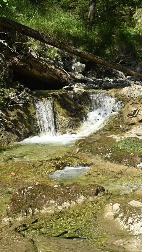 Vertical shot of a small waterfall from a mountain stream in a forest, slow-mo Stock-Footage 260884926