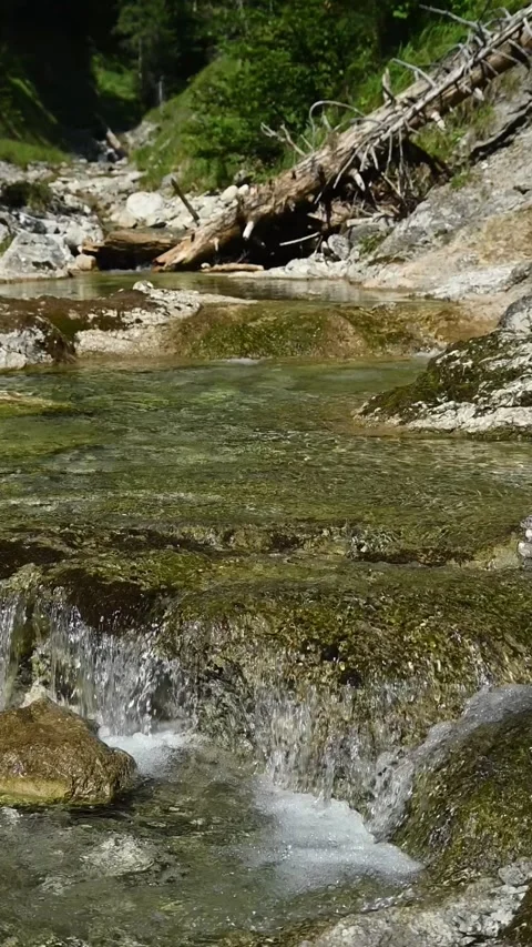 Vertical shot of a small waterfall from a wild mountain stream, slow motion Stock-Footage 260884062