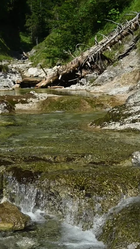 Vertical shot of a small waterfall from a wild mountain stream, slow motion Stock-Footage 260884215