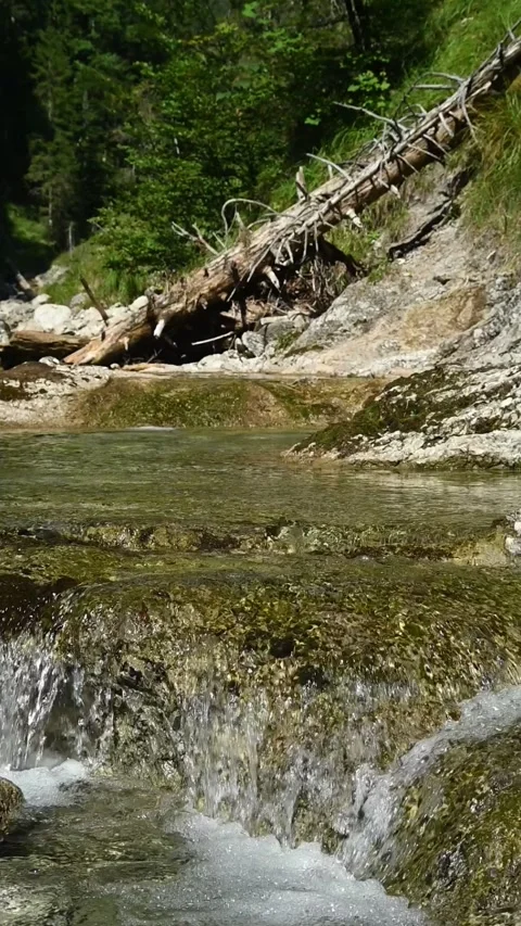 Vertical shot of a small waterfall from a wild mountain stream, slow motion Stock Footage 260884398