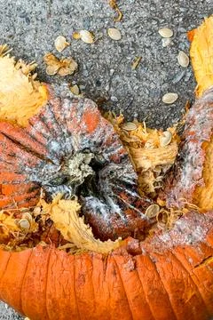 Vertical shot of smashed pumpkin on pavement Foto stock