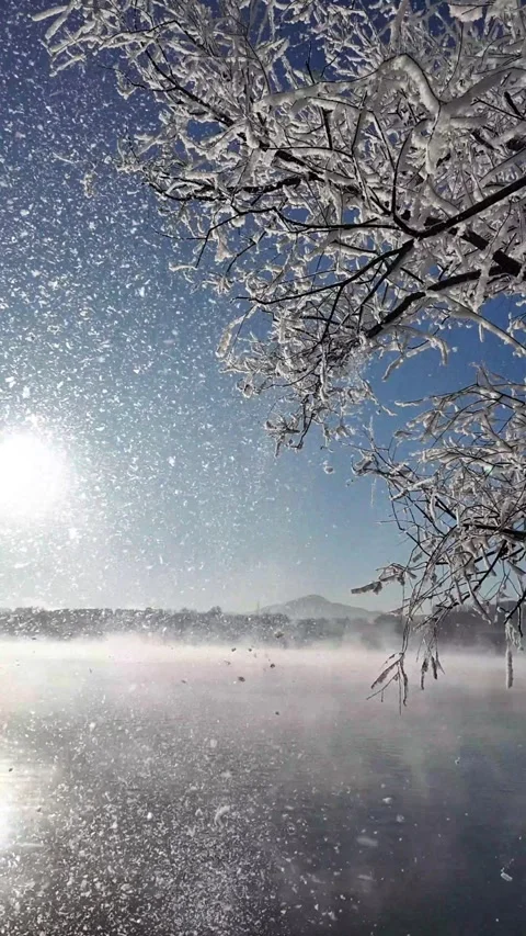 Vertical shot: Sparkling ice crystals falling in winter sun over misty lake. Video stock 331337628