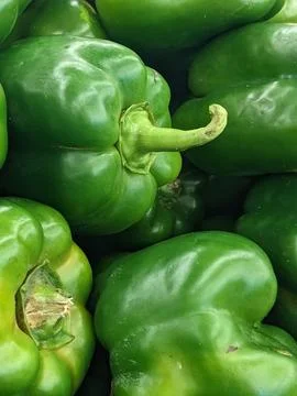 Vertical shot of a stack of freshly picked green bell peppers Stock Photos