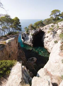 Vertical shot of stone cliffs with trees over the water at the Tremiti Islands i Stock-Fotos