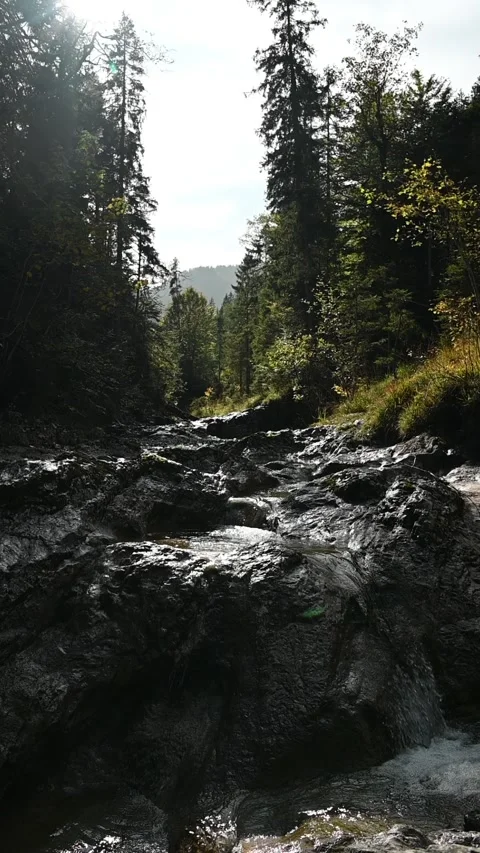 Vertical shot of a stoney mountain stream in a forest, slow motion Video stock 260927406