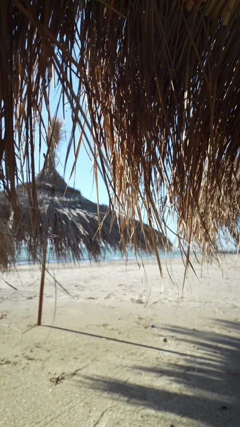 Vertical shot of straw umbrellas on a sandy beach by the sea Video stock 336402739