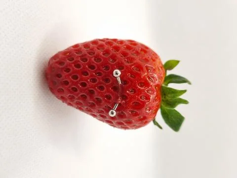 Vertical shot of strawberry (fresa comun) with barbell piercing isolated on a wh Stock Photos