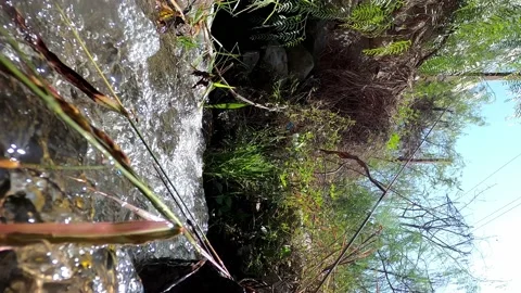 Vertical shot of a stream with a small waterfall in the sunny day in the high mo Stockbeeldmateriaal 199546229