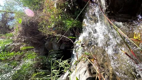 Vertical shot of a stream with a small waterfall in the sunny day in the high mo Stock Footage 199546230