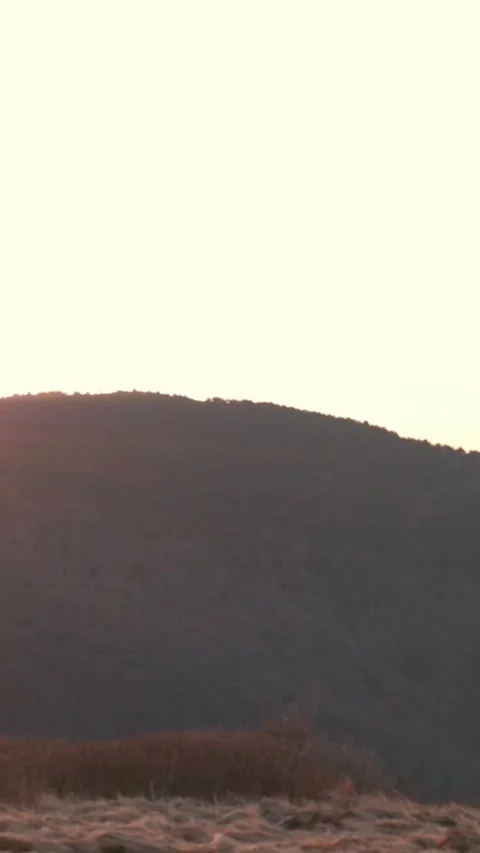 A vertical shot of the sun setting over rolling hills with a warm glow, perfect Stock Footage 287119669