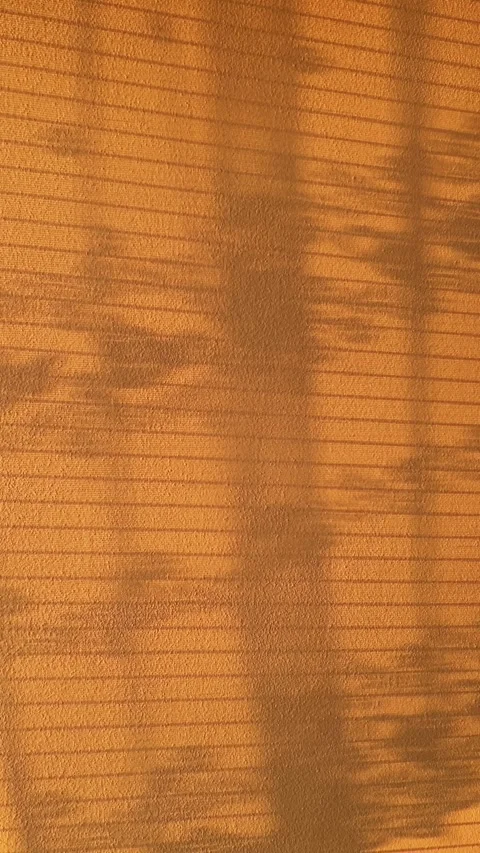 Vertical Shot of Sunset Shadows from Gently Moving Curtain on Wall Stock Footage 313006250
