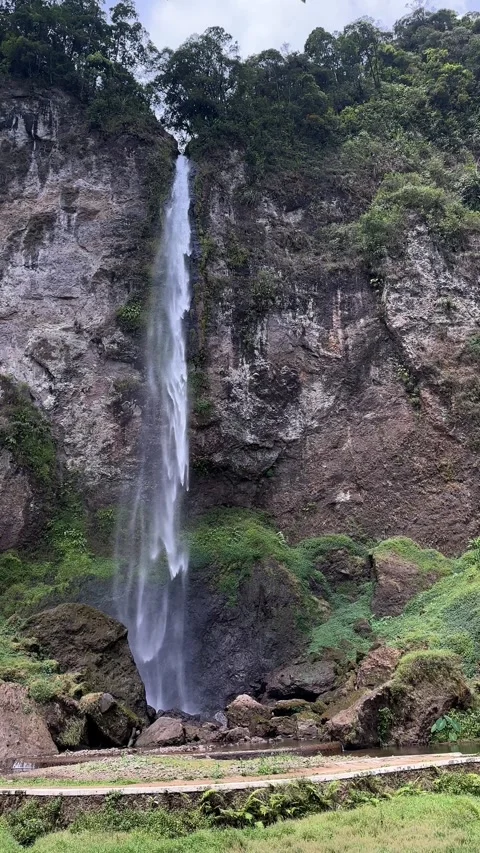 Vertical Shot of Tall Waterfall Falling from Rocky Cliff in Green Forest Stock-Footage 323912946